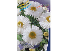 ����� ���� ������ (novi-belgii)_42.jpg