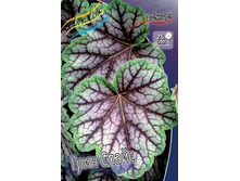 ������� ���� �����_91.jpg