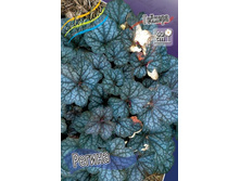 ������� ������_91.jpg