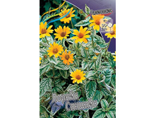 ��������� ������ �������_90.jpg