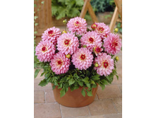 �������� ������� ���������_70.jpg