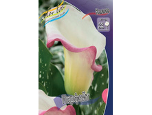 ����� ������� _41.jpg