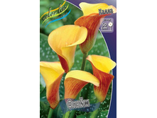 ����� �����_51.jpg