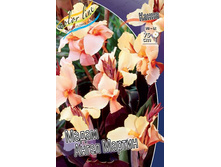 �����(������) ����� ����� �������-������, ������-���������� ������_40.jpg