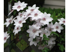 �������� ���� �������_73.jpg