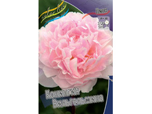 ���� �������� ������������_85.jpg