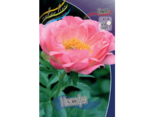 ���� �����_90.jpg