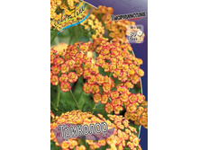 ������������� �������� TRICOLOR_43.jpg