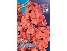 ����� ����� ����������_26.jpg