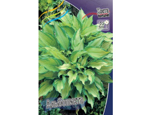 ����� ����������_29.jpg