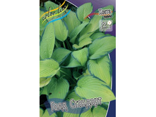 ����� ���� ��������_29.jpg