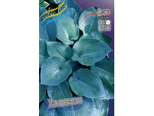 ����� �������_42.jpg