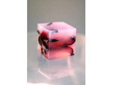 ������������ ���