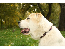 ������ ����� �� �����