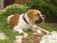 ������ ����� ��������