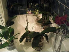 ����������� 067.jpg