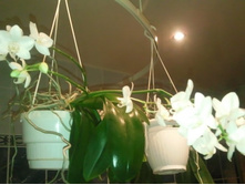 ����������� 027.jpg