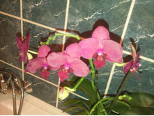 ����������� 065.jpg