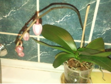 ����������� 064.jpg