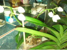 ����������� 062.jpg