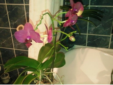 ����������� 059.jpg