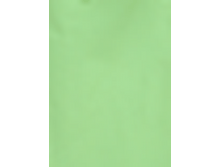 �������    ���� ���� �������