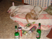 ����������:)