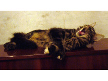 ������������