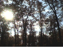 ������� 2008