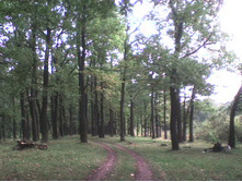 �������� 2008-2