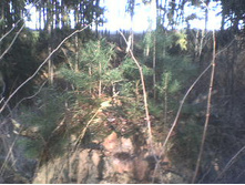 ������� 2008