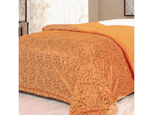 ����� �����.gif