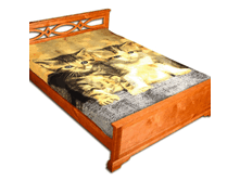 ������ �� ����-������� �����.gif