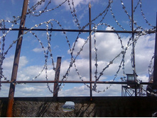 31.05.2009 ��� � ��.