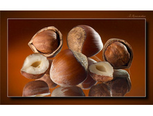 ������ ����  97