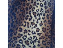 ����� �������� � �������.gif