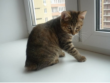 �������