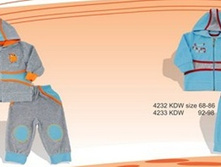 ������ ���������