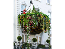 ����� �������.jpg