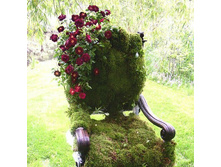 ������� ������.jpg