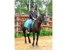 �������� http://www.polevitsa.ru/