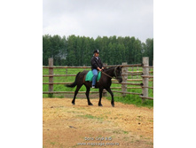 �������� http://www.polevitsa.ru/