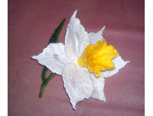 �������