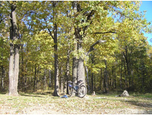 ������ ��� ��Σ�