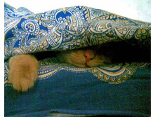 �� ������!