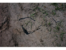 �� ����� ������, ����� 3 ������.