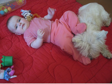 ��������, ���������� ������ ����� �����������