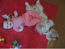 � �� ��� �������� ��������