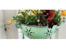 repurposed-planter-07-640x290.jpg