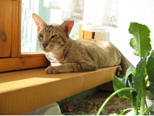 ���� ����